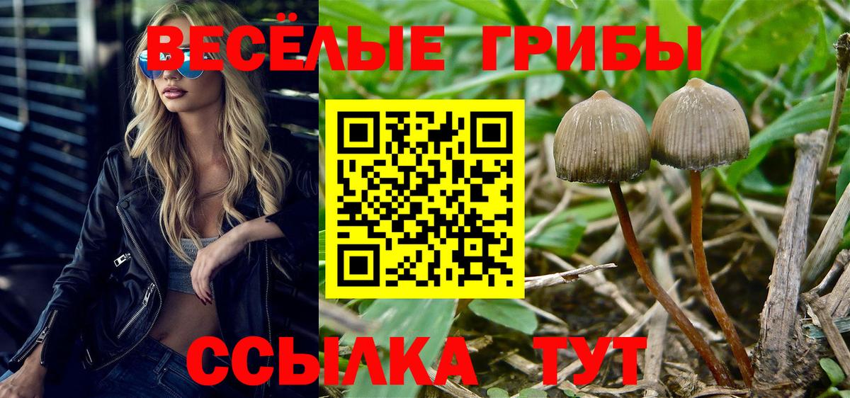дарнет шоп  Вход с VPN  Азнакаево  Галлюциногенные грибы MAGIC MUSHROOMS 